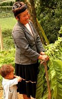Woman farmer in Yunnan, China