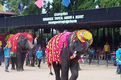 Elephant Show at Nongnooch Tropical gardens, Pattaya, Thailand