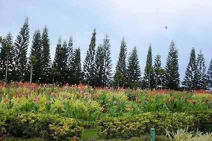 Garden Glory, Nongnooch Tropical Garden, Pattaya, Thailand
