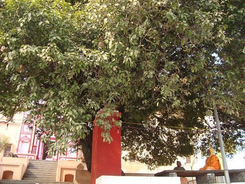 Niranjani Akhara Panchayat, Haridwar