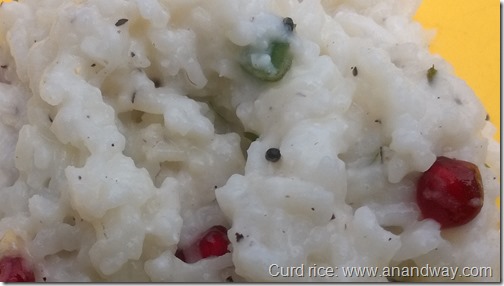 curd rice thai saadam