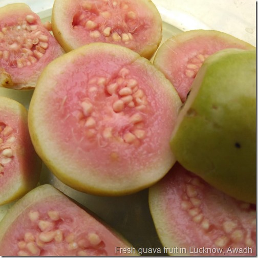 pink guava from Lucknow, Awadh