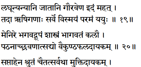 Srimad Bhagwat katha Sanskrit audio podcast lyrics 19-20.5
