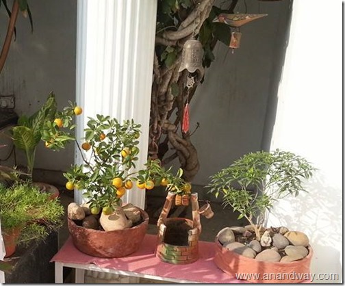 garden aretefacts india prof rs bisht prof vimala bisht (1)