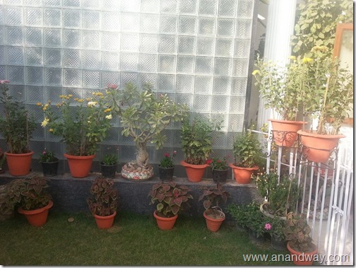 garden aretefacts india prof rs bisht prof vimala bisht (4)