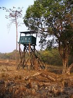 Watch tower at Dudhwa National Park