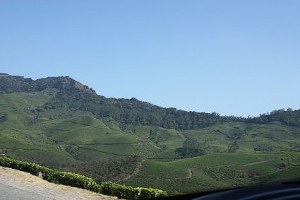 A view of tea gardens from the highway to Munnar