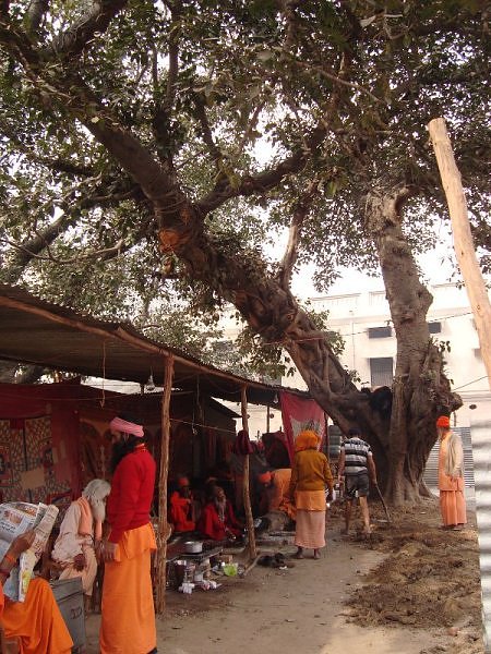 Sadhus making tea in Joona akhara camp, Mahakumbh, Haridwar